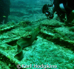We made eye to eye contact!!! by Karl Hodgkins 